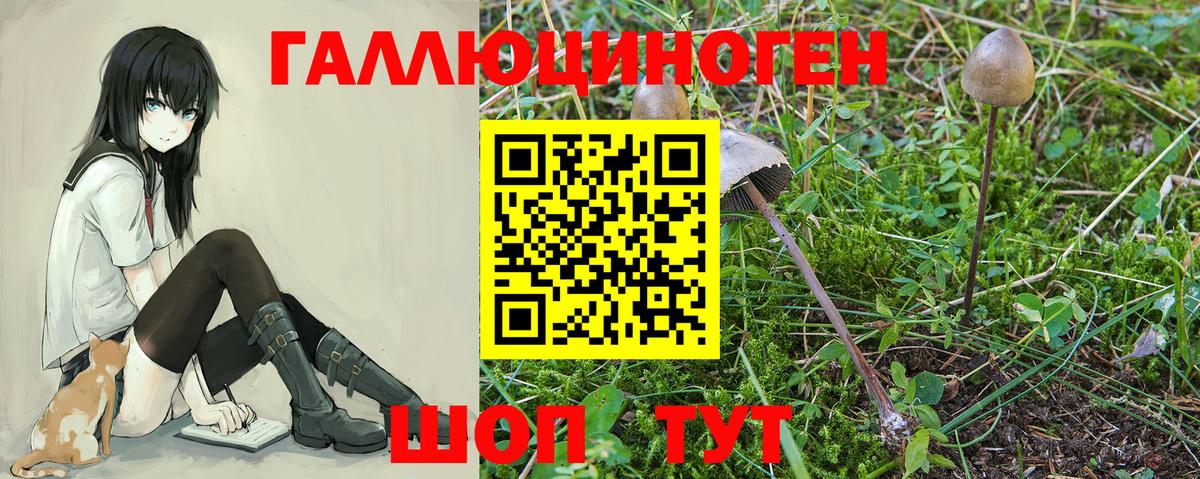 Галлюциногенные грибы Cubensis  Вход с VPN  Комсомольск-на-Амуре 