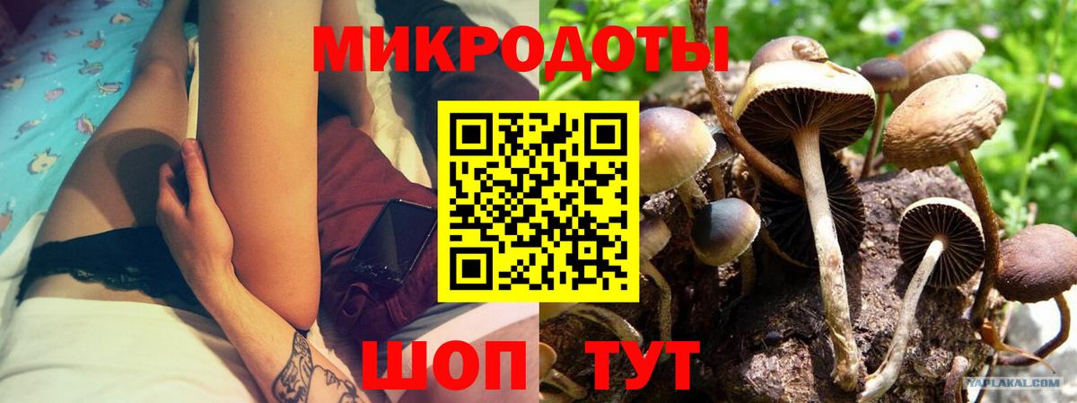 Псилоцибиновые грибы мухоморы Комсомольск-на-Амуре